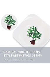 HEMOTON 1 Stück 9 Zoll Obstteller Grüne Pflanze Keramikplatte Quadratische Frühstückssteakplatte für Die Küche zu Hause (Rundes Münzgras)