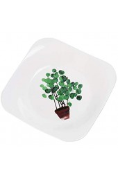 HEMOTON 1 Stück 9 Zoll Obstteller Grüne Pflanze Keramikplatte Quadratische Frühstückssteakplatte für Die Küche zu Hause (Rundes Münzgras)