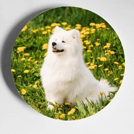 Hund in den schönen Blumenfeldern bunte Platten Keramik dekorative Platte Anzeige Home Wobble-Platte mit Display Stand Dekoration Haushalt Hübsche Keramikplatten