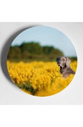 Hund in den schönen Blumenfeldern Farbe dekorative Platten dekorierte Platten Home Wobble-Platte mit Display Stand Dekoration Haushalt dekorative Display-Platten